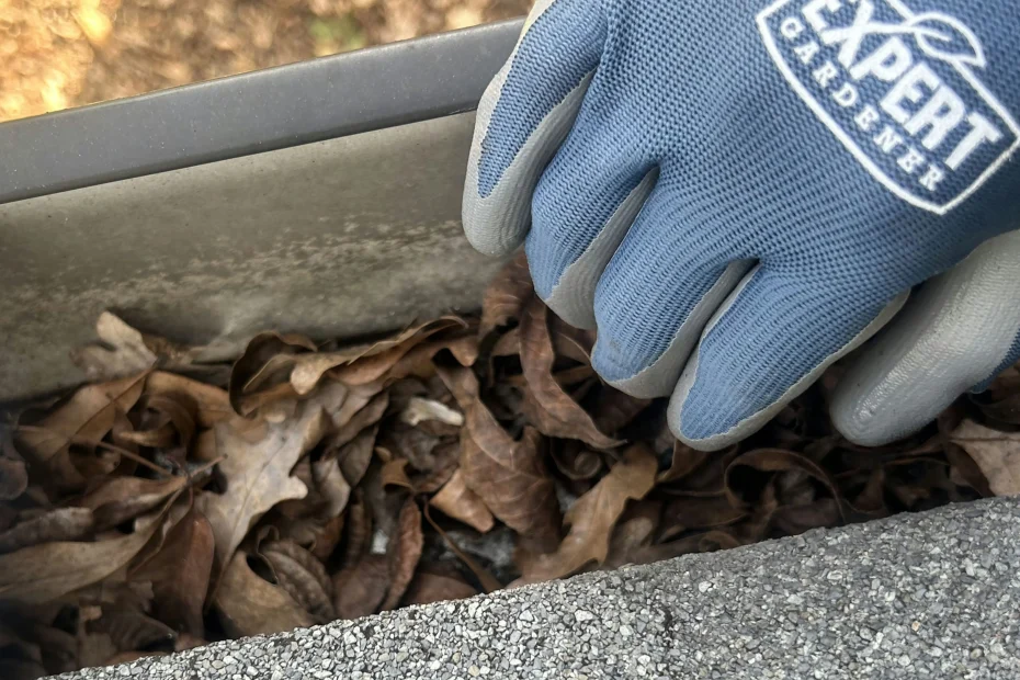 Gutter Cleaning Springville