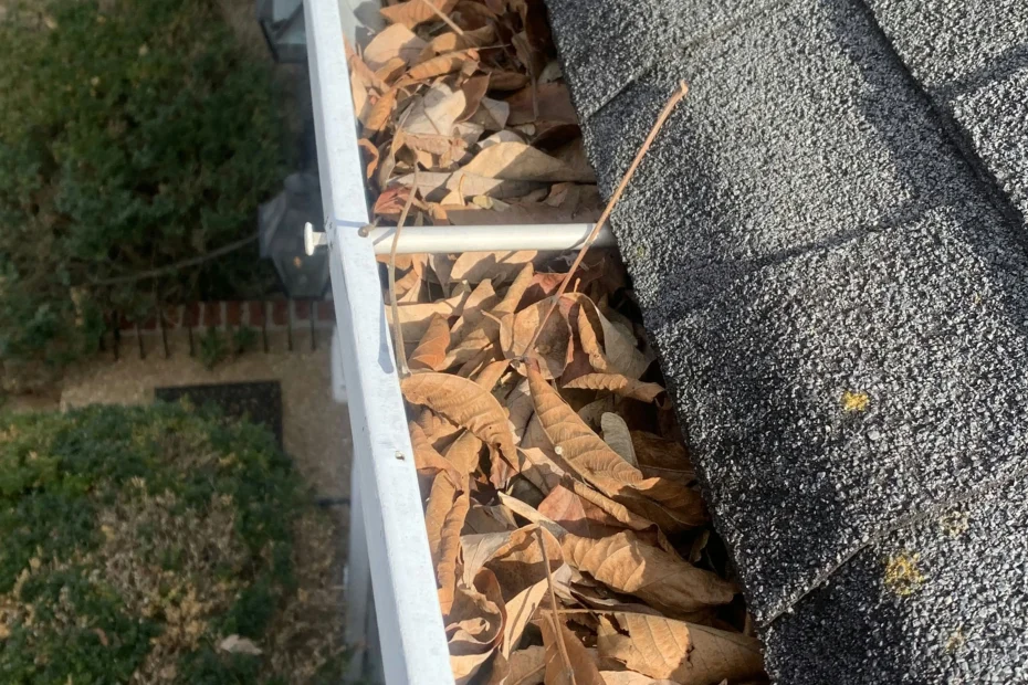 Gutter Cleaning Springville