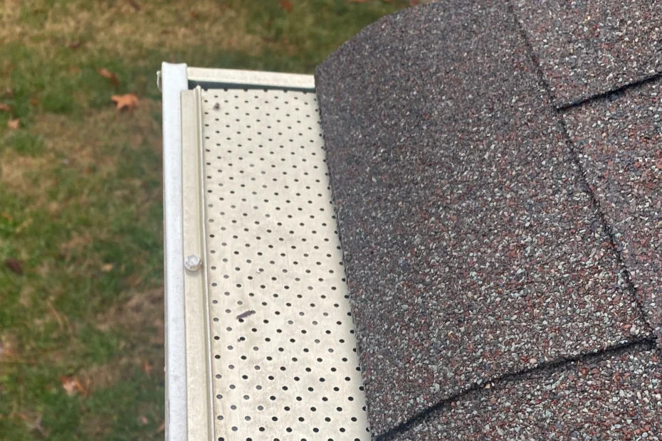 Gutter Cleaning Springville