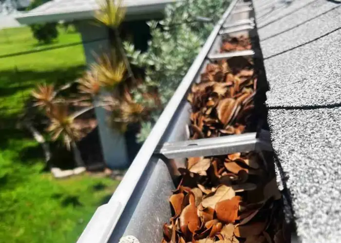 Gutter Cleaning Springville home page